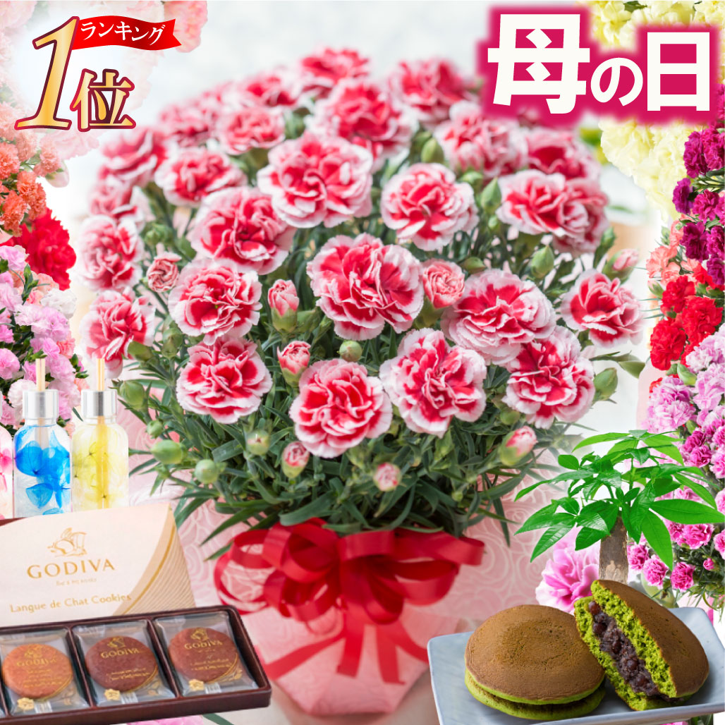 母の日 まだ間に合う カーネーション ギフト 花 プレゼント 大きい 5号 鉢植え 2026 選べる特典 スイーツお菓子セット どら焼き GODIVA 年間ランキング1位 FleurTown吉本花城園 早割終了