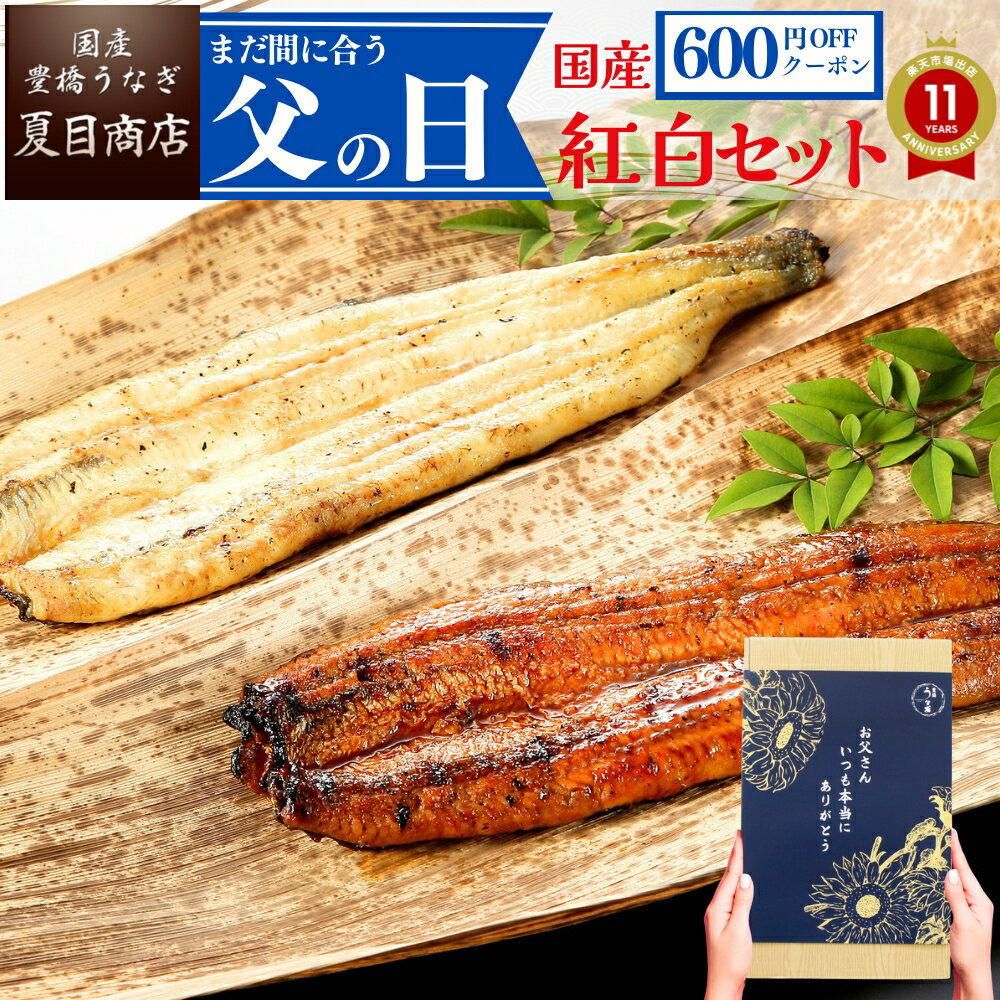 愛知県産うなぎの紅白セット｜父の日ギフトに最適な国産蒲焼きと白焼きを実食レビュー